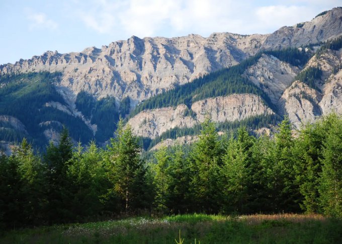 Mountain cabin view from the porch